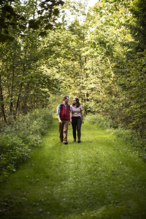 Gartenanlage Hotel Kleins Wiese