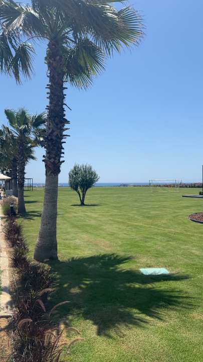 Gartenanlage Jacaranda Luxury Resort