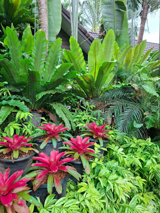 Gartenanlage Laluna Hotel & Resort