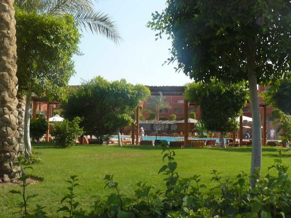 Ogród Sharm Grand Plaza Resort