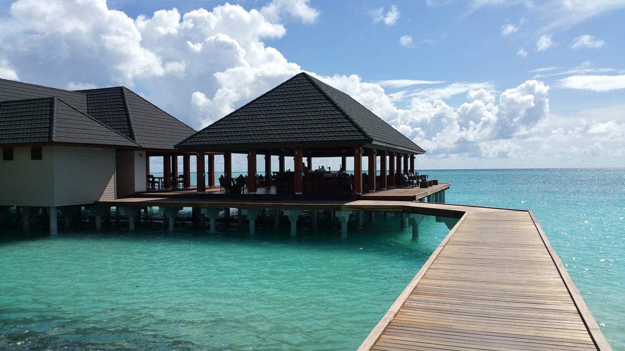 Cocktailbar Summer Island Maldives