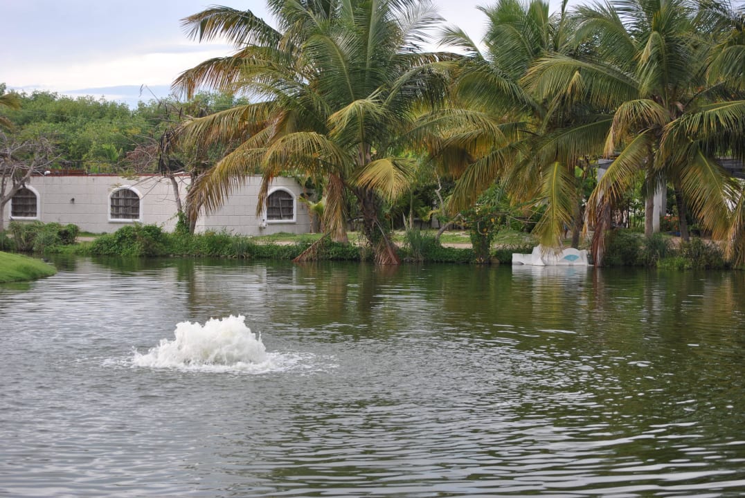 Blick aus dem Fenster Zimmer 4625 Villas Bavaro Resort & Spa