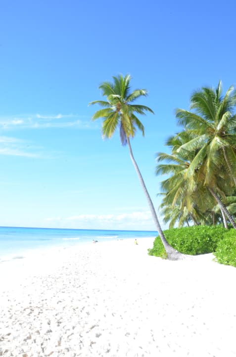 Strand Grand Palladium Select Bávaro Resort & Spa