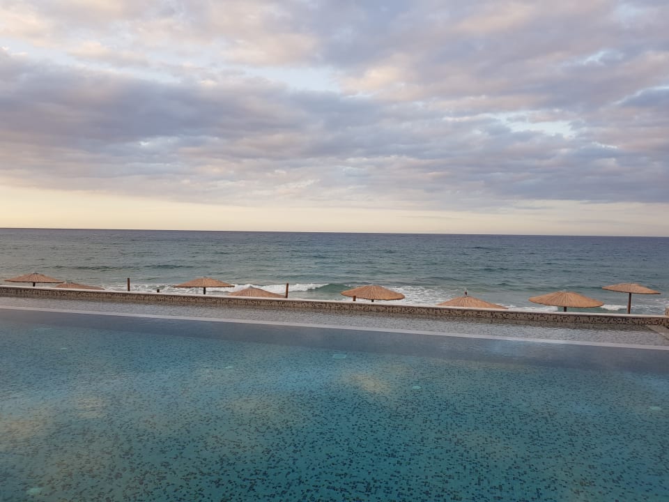 Pool Cactus Mare - Adults only