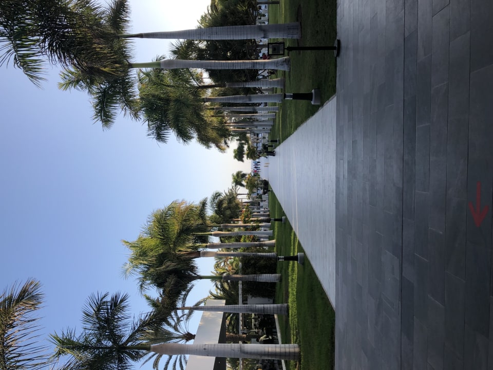 Gartenanlage Hotel Riu Palace Meloneras