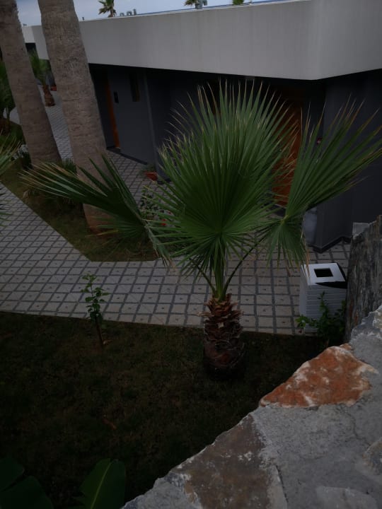 Sonstiges Arina Beach Resort