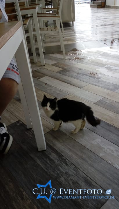 Sonstiges Castival Hotel