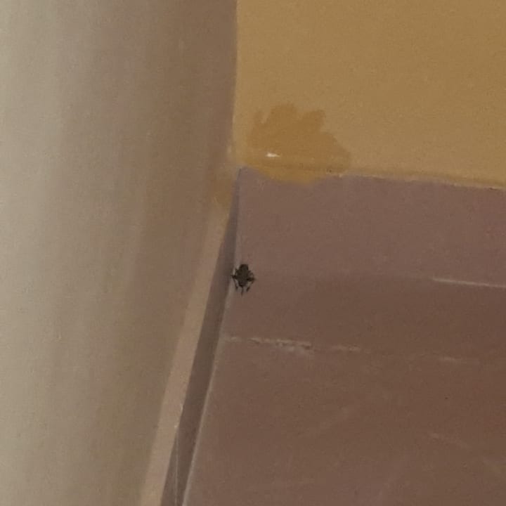 Zimmer Stella Beach Resort & Spa Makadi Bay