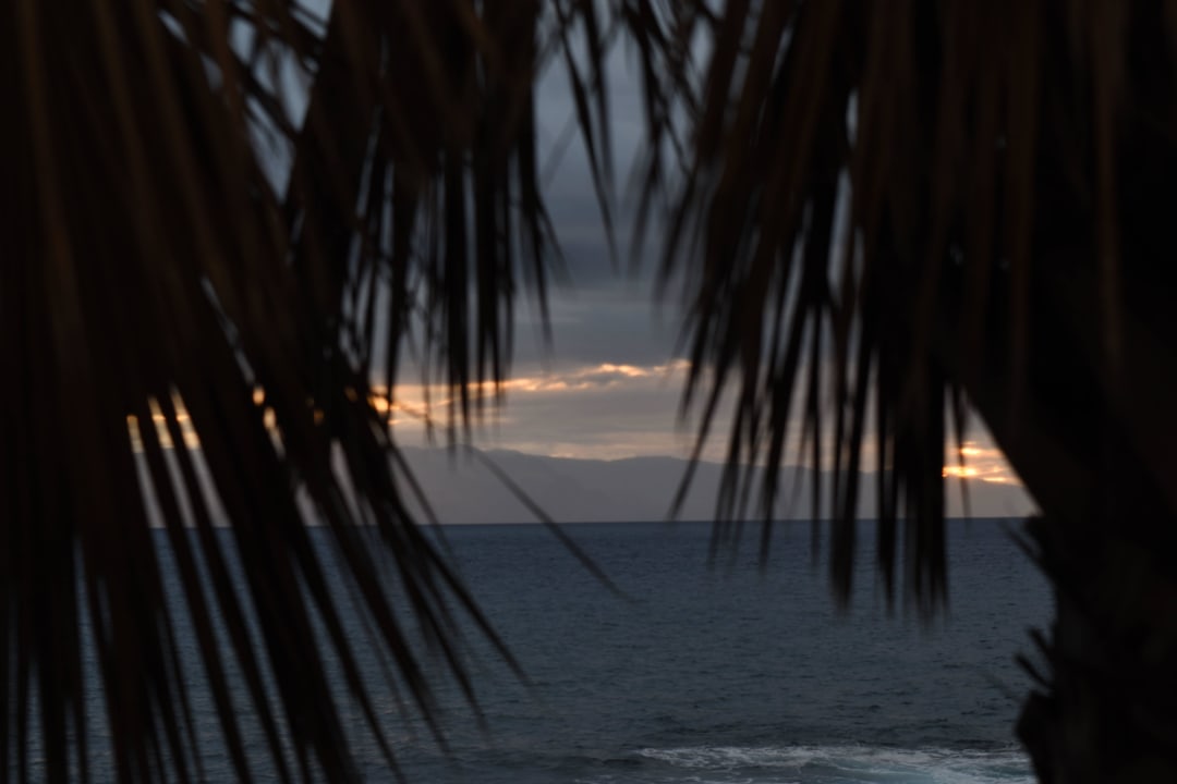 Ausblick von der Promenade Gran Melia Palacio de Isora Resort