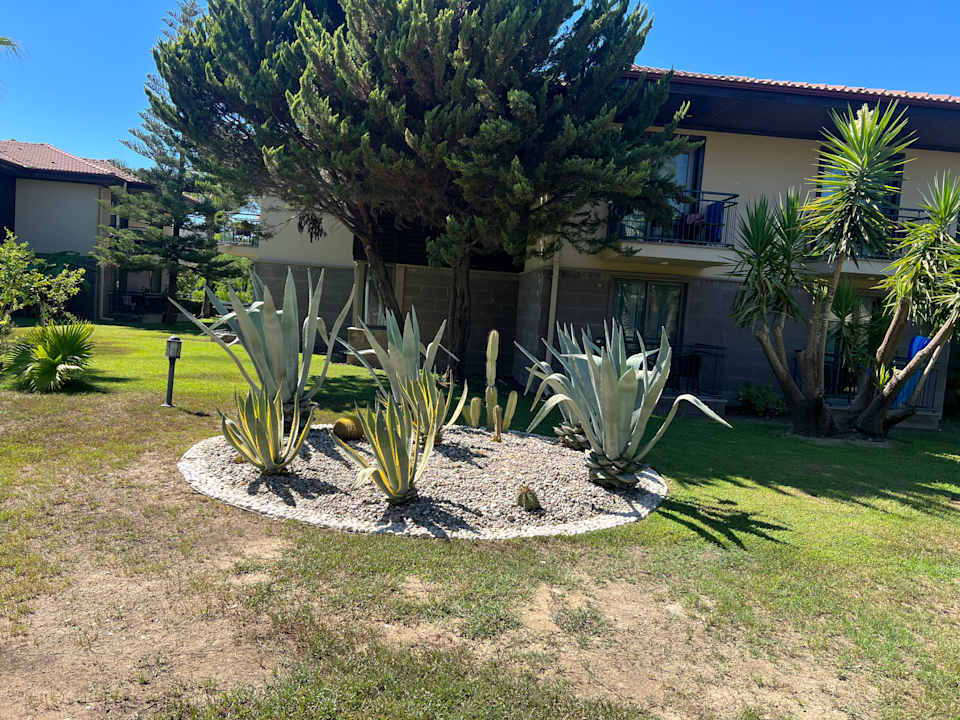 Gartenanlage TUI BLUE Palm Garden