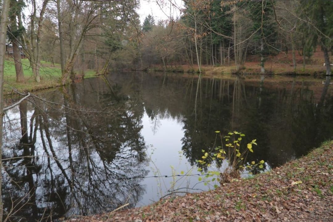 Angelparadies hinter dem Hotel Hotel Hofgut Imsbach