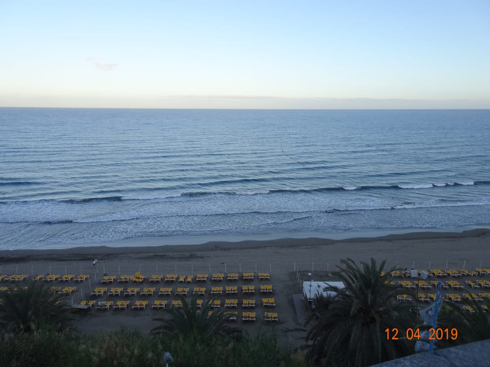 Ausblick Hotel Riu Palace Palmeras