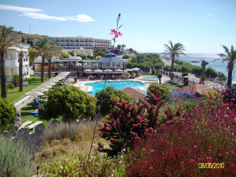 Noch besserer Blick auf Garten und Taverne Dimitra Beach Hotel & Suites