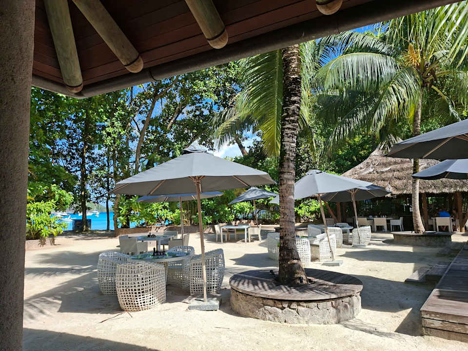 Gastro Constance Ephelia Seychelles