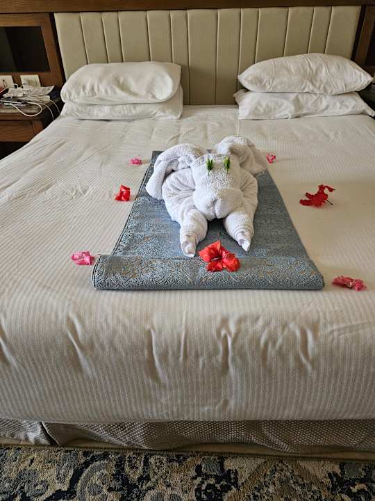 Zimmer Serenity Alpha Beach