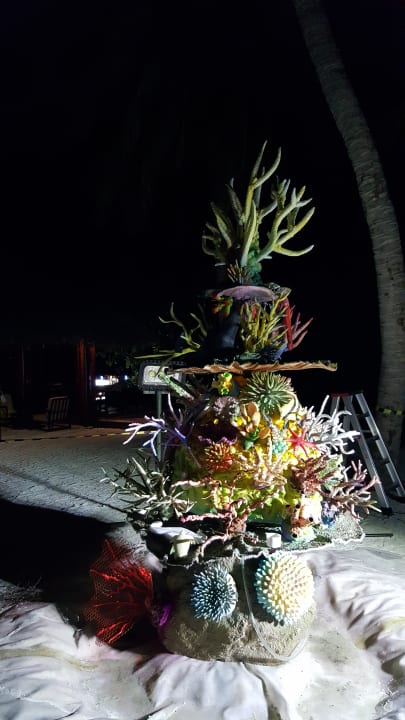 Sonstiges Summer Island Maldives