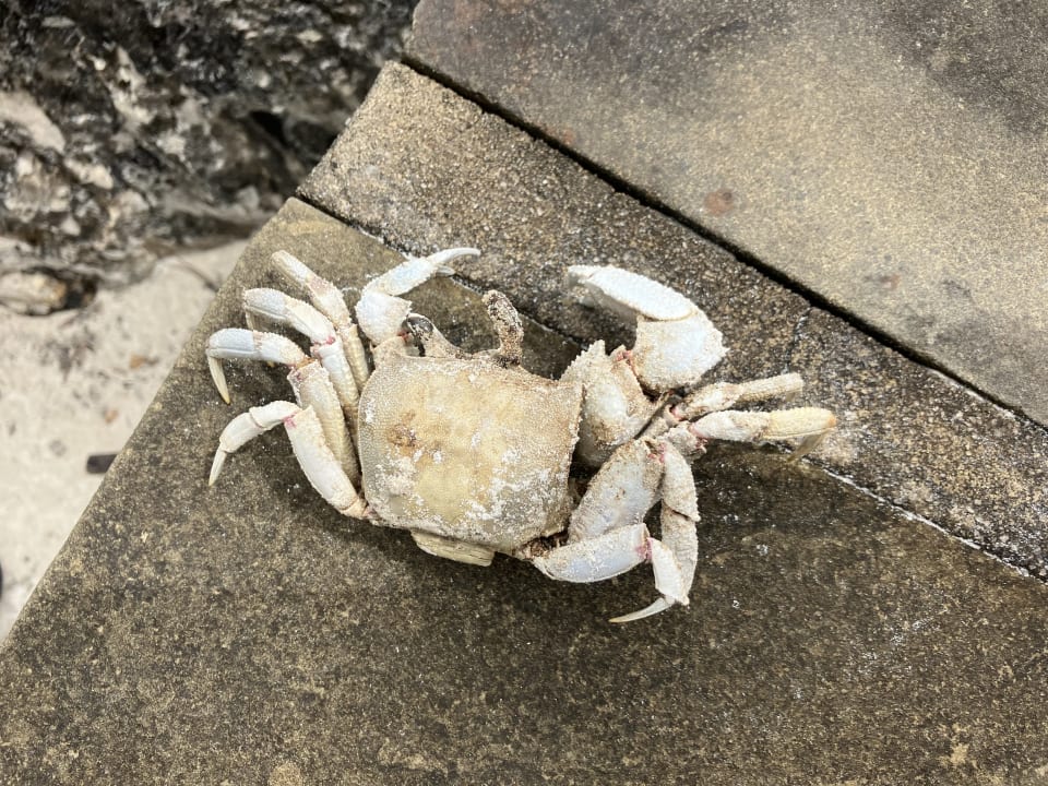 Strand Neptune Village Beach Resort & Spa