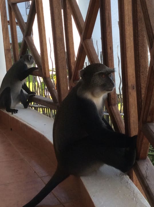 Sonstiges Neptune Village Beach Resort & Spa