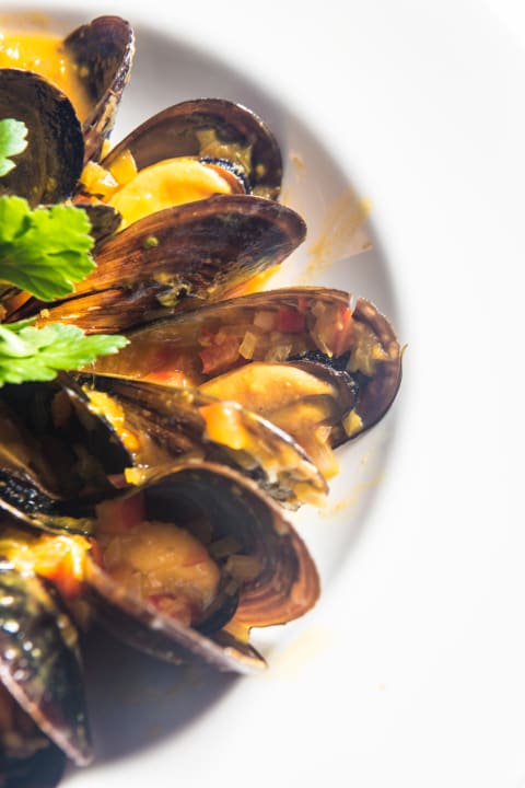 Gastro Paguera Treff Boutique Hotel