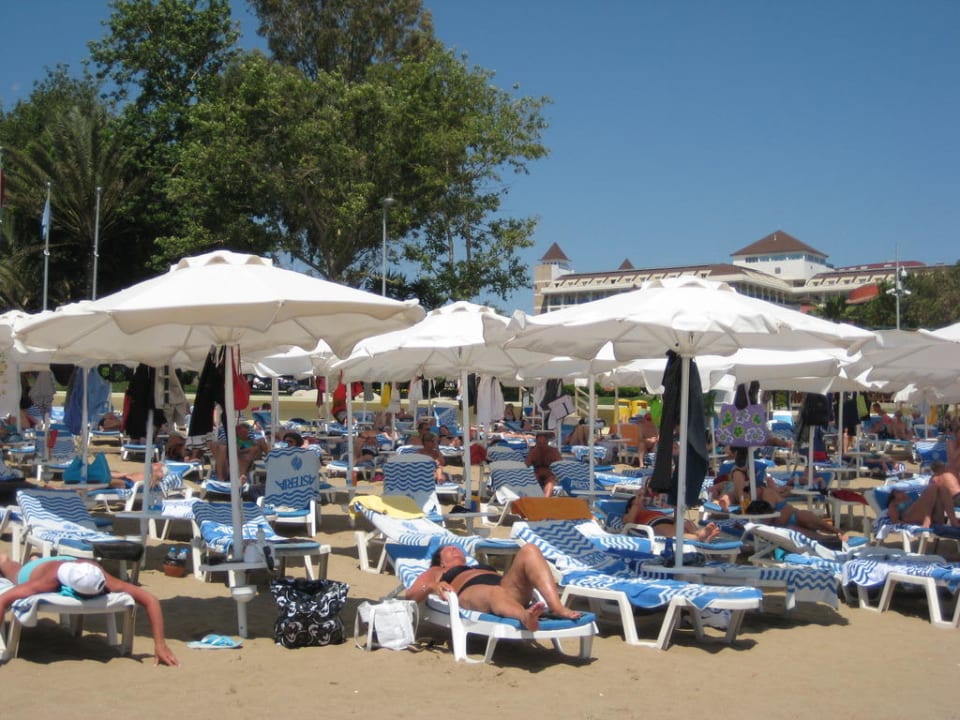 Strand Side Star Elegance