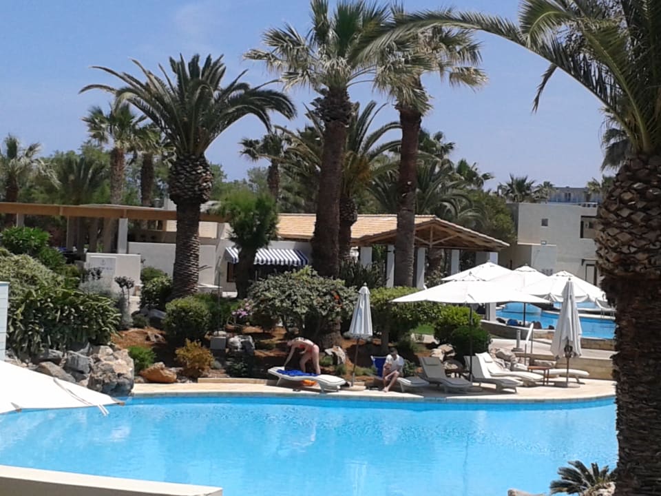 Pool Phãea Cretan Malia