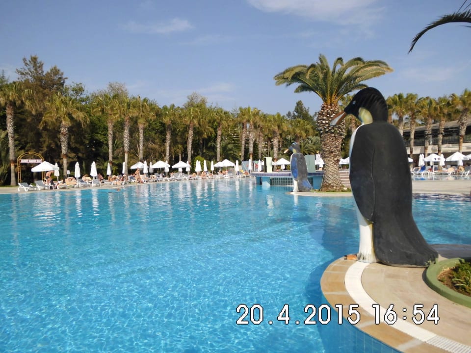 Großer Pool für action Hotel Botanik Platinum