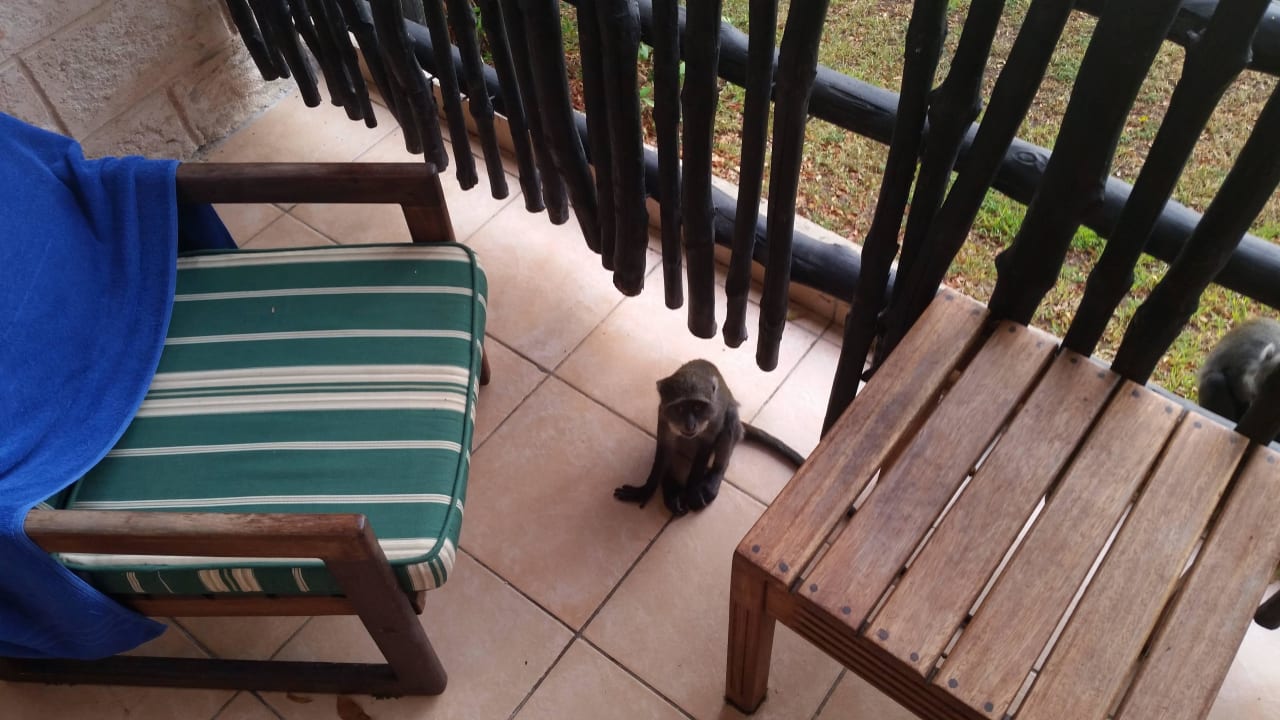 Hotel Baobab Beach Resort Baobab Beach Resort & Spa