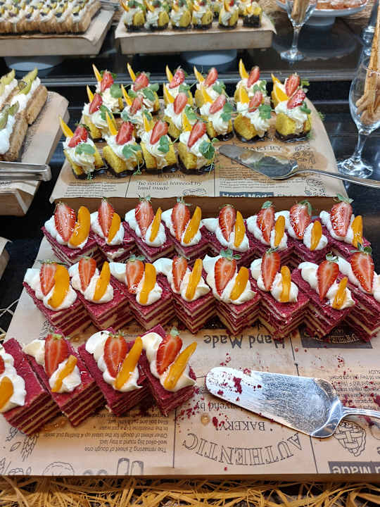 Gastro Seashell Vega