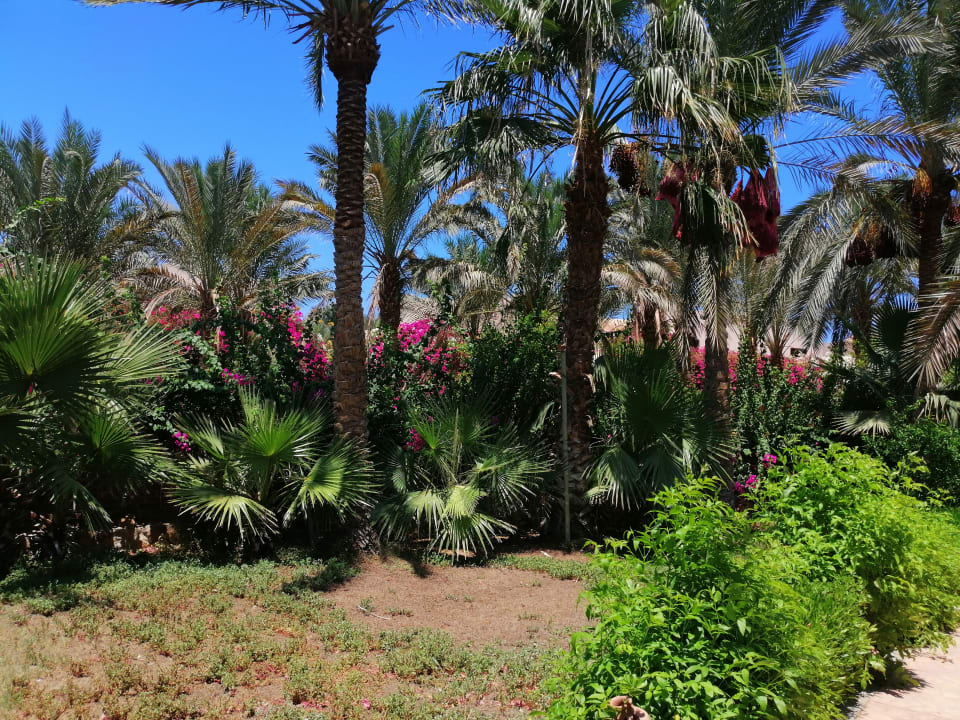 Gartenanlage Dream Lagoon Resort & Aqua Park