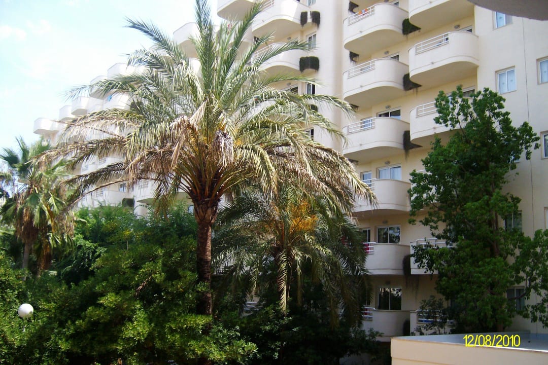 Blick vom Zimmer Protur Palmeras Playa Aparthotel