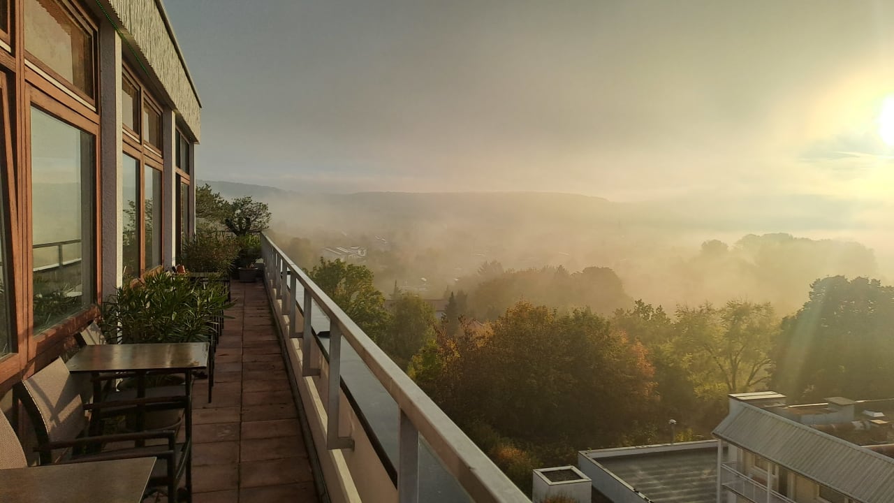 Ausblick Vitalhotel König am Park