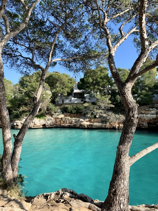 Gartenanlage ROBINSON CALA SERENA