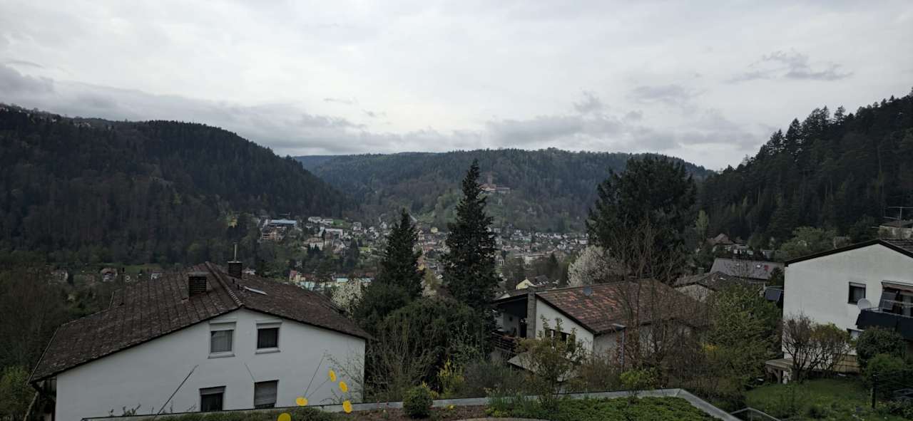 Ausblick Aparthotel Hochwald
