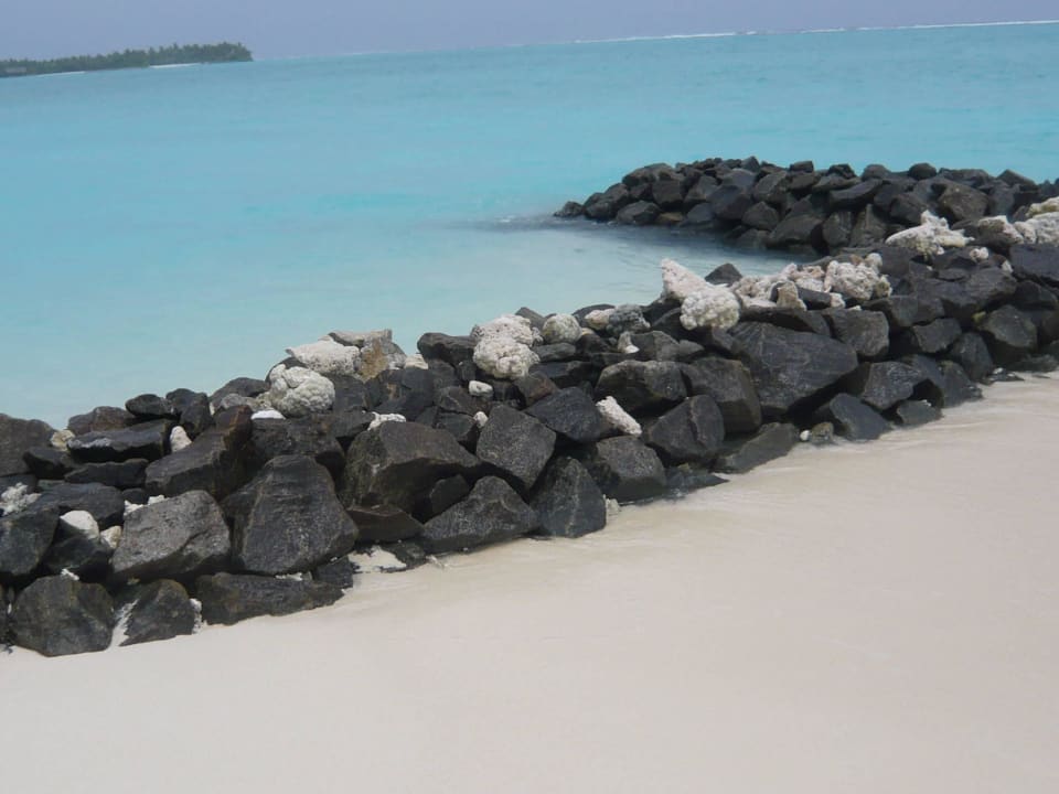 Muschelformationen Summer Island Maldives