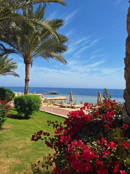 Ausblick Serenity Alpha Beach