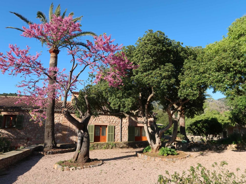 Gartenanlage Hotel Es Port