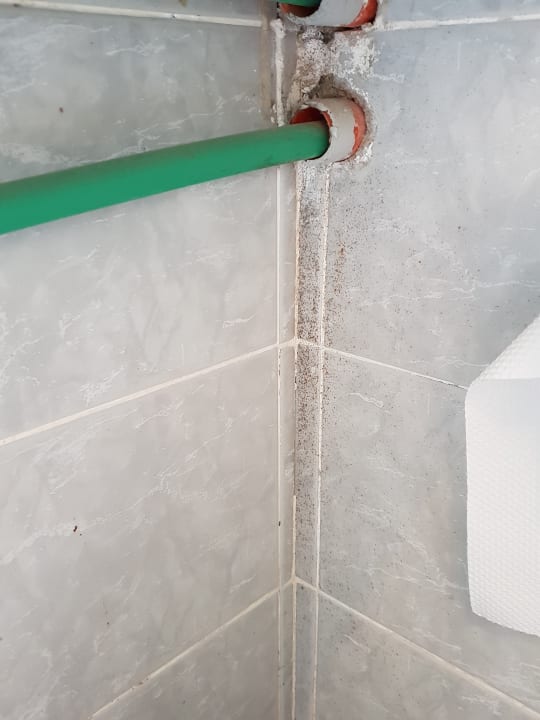 Zimmer Pharaoh Azur Resort