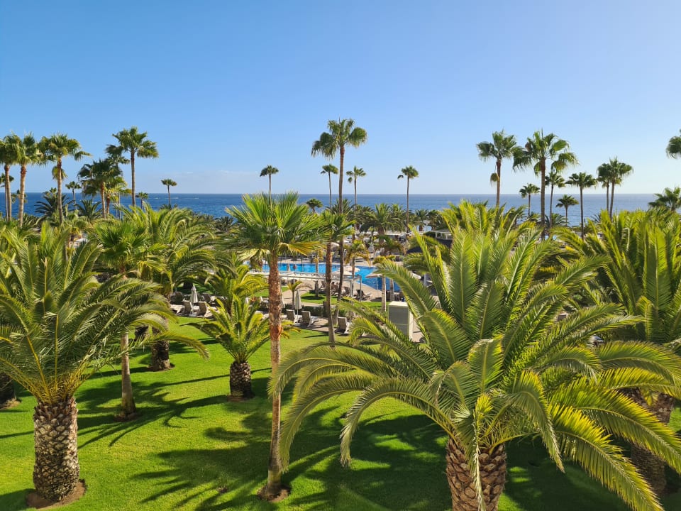 Gartenanlage Hotel Riu Palace Tenerife