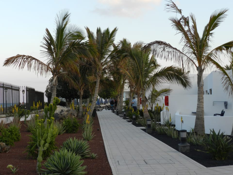 Gartenanlage Hotel Las Costas