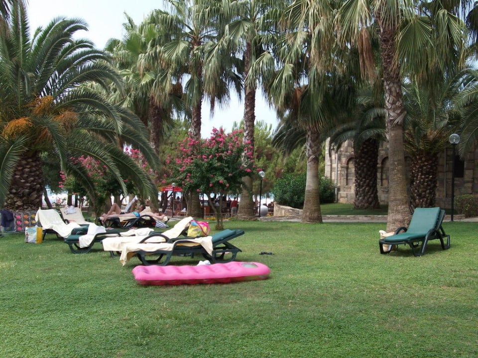 Vom Park zum Pool Arum Barut Collection
