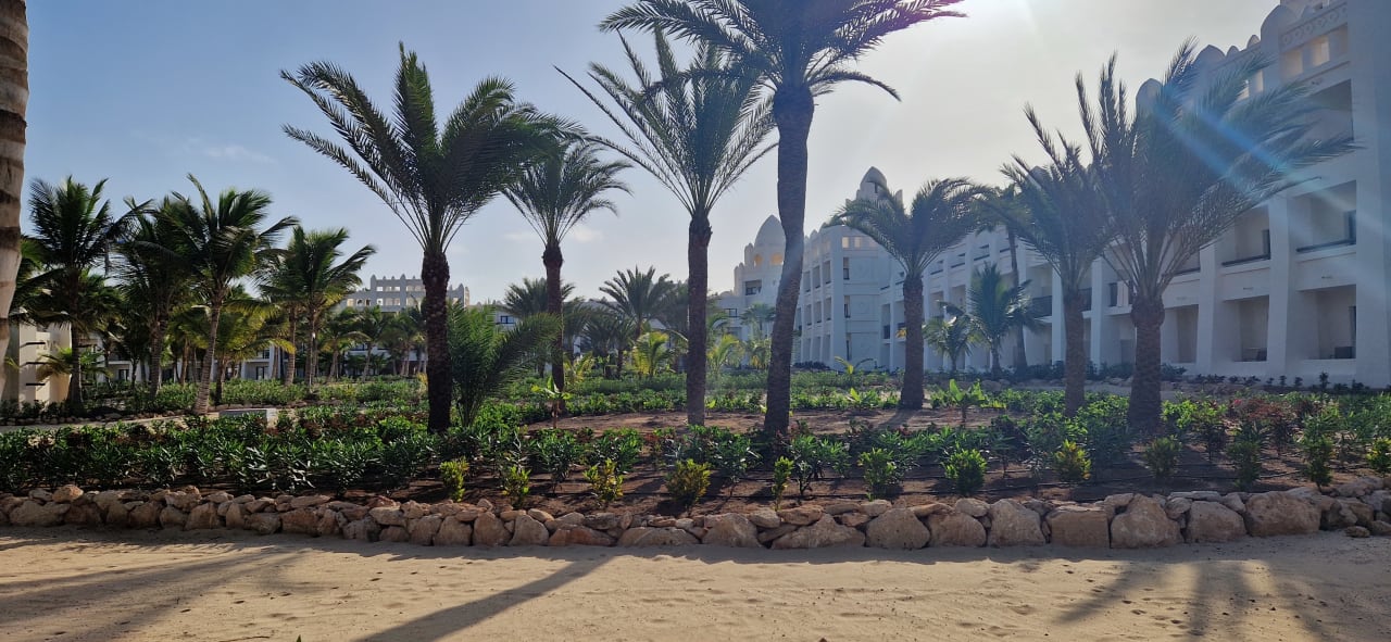 Gartenanlage Hotel Riu Karamboa