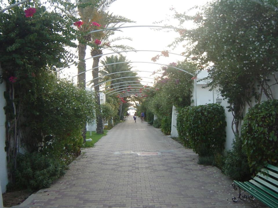 Weg zum Strand El Mouradi Club Kantaoui