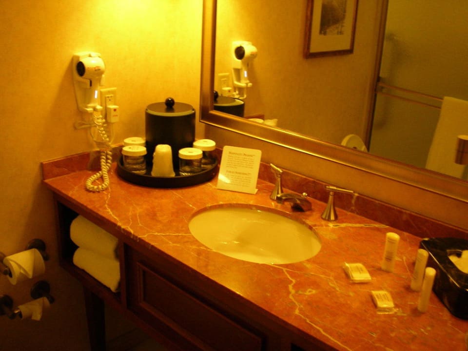 Badezimmer Hotel Sheraton at the Falls