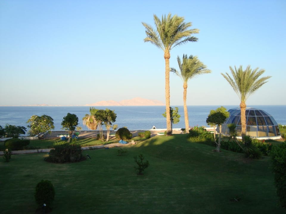 Ferien unter Palmen V Hotel Sharm El Sheikh