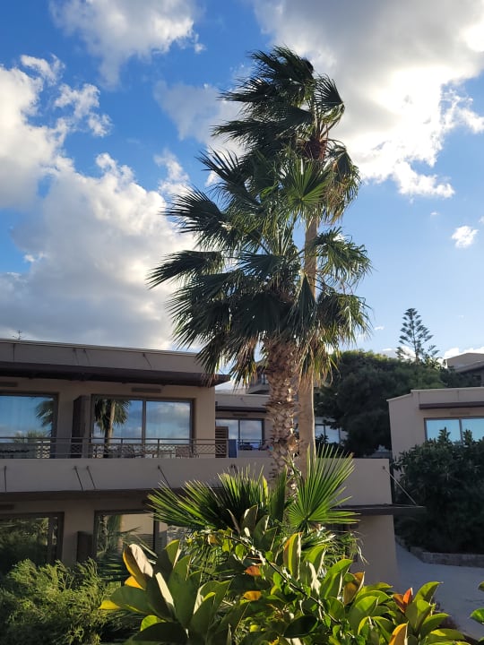 Gartenanlage Nana Golden Beach