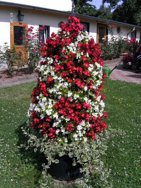 Garten Pension Möhring