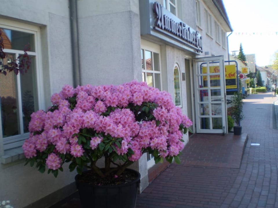 Eingang Hotel Ammerländer Hof