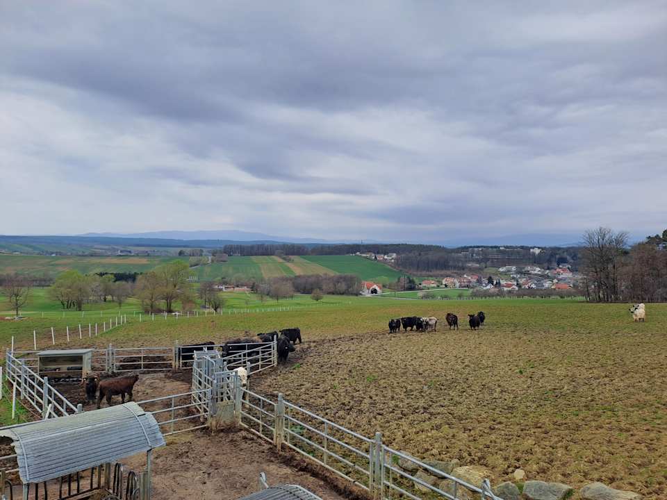 Sonstiges Reiters Finest Family Hotel