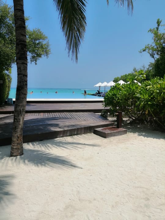 Pool Summer Island Maldives