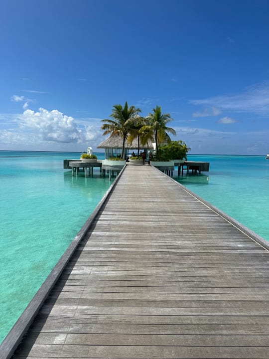 Lobby Kuramathi Maldives